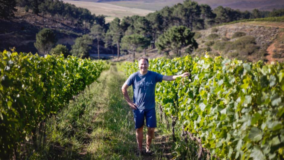 Continent Winner - The Best Vineyard in Africa 2023